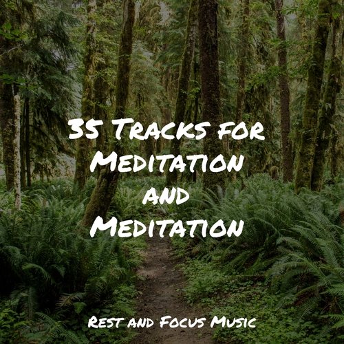 35 Tracks for Meditation and Meditation