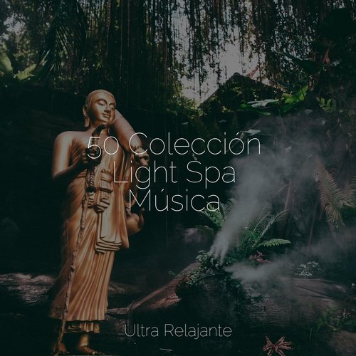 Sonidos Relajantes cover art