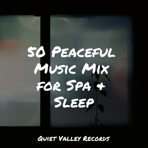 50 Peaceful Music Mix for Spa & Sleep