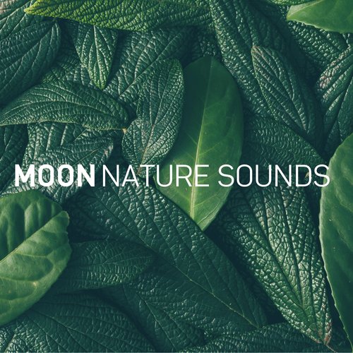 8D Nature Sounds_poster_image