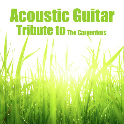 Acoustic Guitar: Tribute to the Carpenters