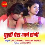 Budti Bera Aabe Sangi