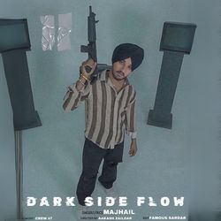 Dark Side Flow-HSpTe1kBBQY