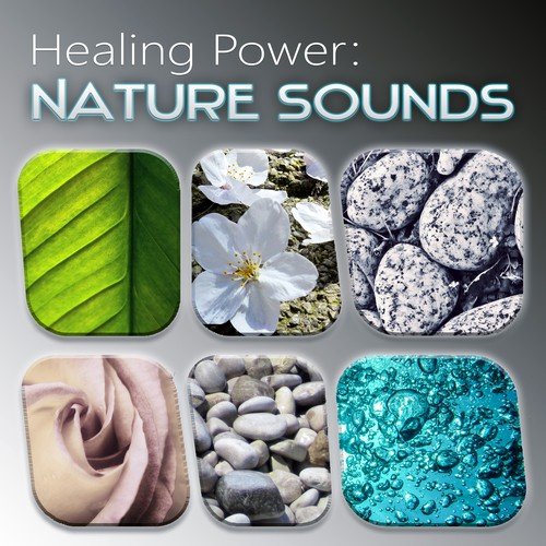 Healing Power: Nature Sounds –  Instrumental Background Music with Sounds of Nature, Ocean Waves, Therapy Music, Meditation, Relax, Deep Sleep, Yoga, Reiki, Headache Remedies