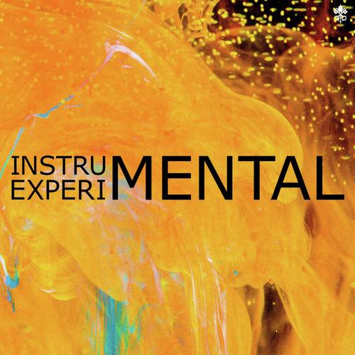 Instrumental Experimental_poster_image