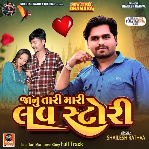 Janu Tari Mari Love Story Full Track