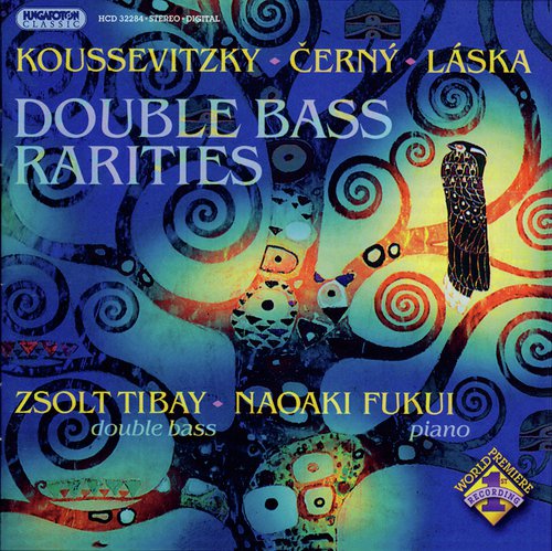 Es muss ein Wunderbares sein, S314/R590 (arr. for double bass and piano) cover art