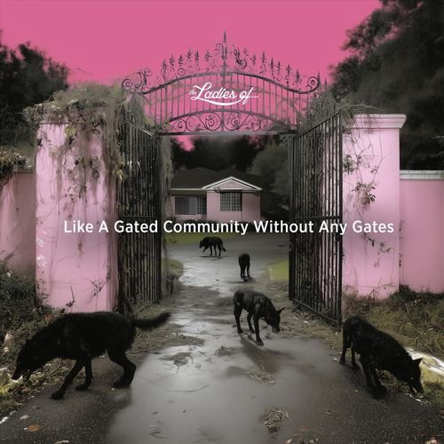Like a Gated Community Without Any Gates cover art