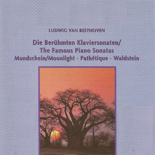 Ludwig van Beethoven - The Famous Piano Sonatas_poster_image