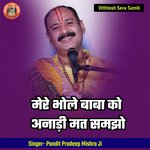 Mere Bhole Baba Ko Anadi Mat Samajho artwork