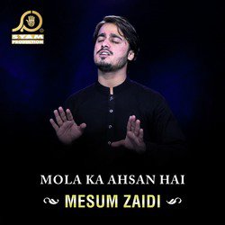 Mesum Zaidi