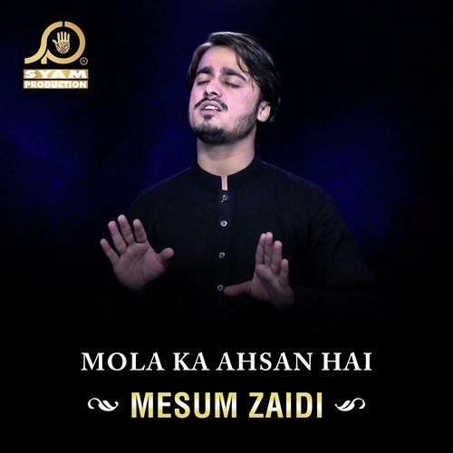 Mesum Zaidi