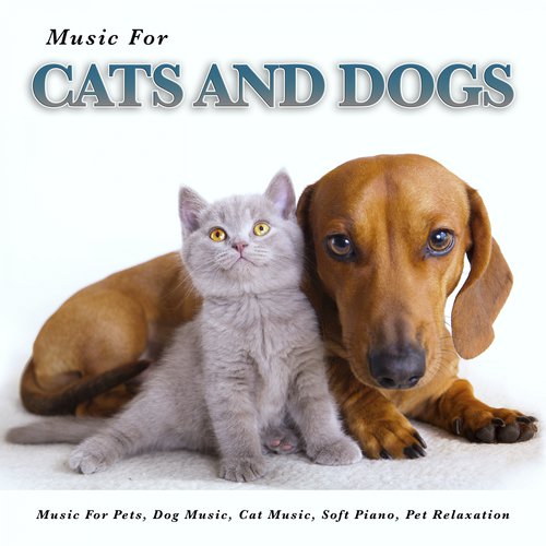 Music For Cats and Dogs, Music For Pets, Dog music, Cat Music, Soft Piano, Pet Relaxation_poster_image