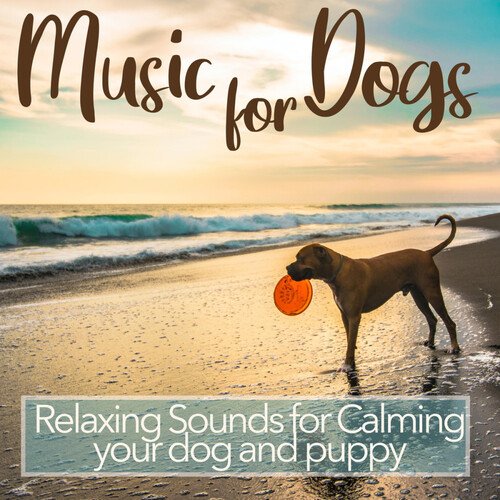 Dog music relax your 2024 dog