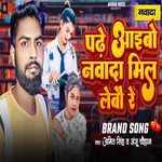 Padhe Aaibo Nawada Mil Lebau Re