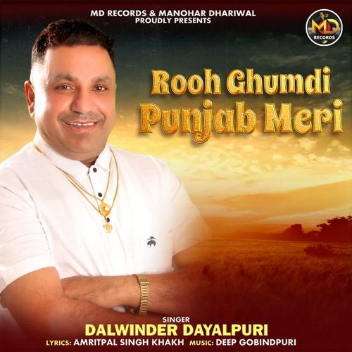 Rooh Ghumdi Punjab Meri