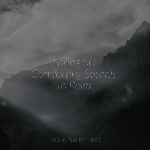 Spring 50 Comforting Sounds to Relax