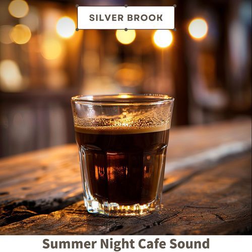 Summer Night Cafe Sound