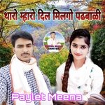 Tharo Maharo Dil Milgo Padhbali (Meenawati)