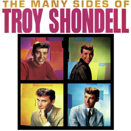 The Many Sides Of Troy Shondell