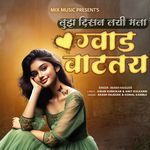 Tujh Disan Layi Mala gvad Vatatay