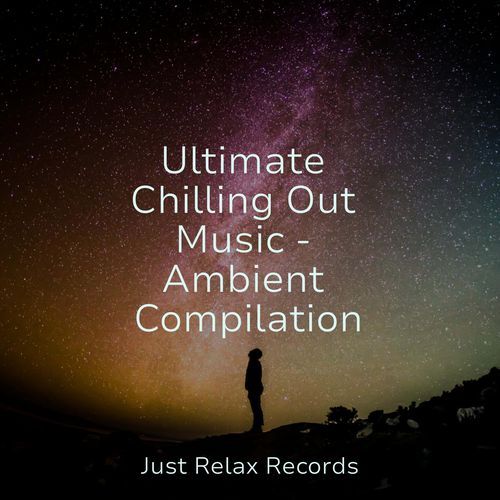 Ultimate Chilling Out Music - Ambient Compilation