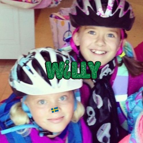 Willy (Hjemmesnekk) cover art