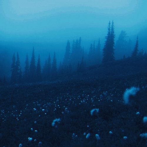 unraveled (Speed up)