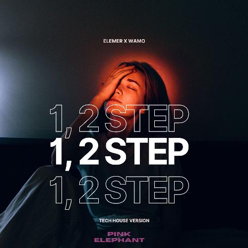 1, 2 Step (Tech House Version)