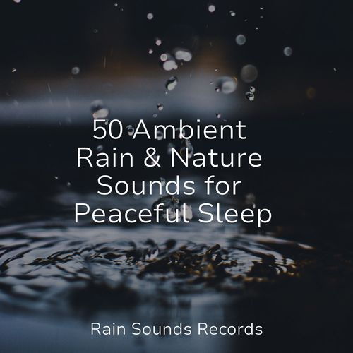 50 Ambient Rain & Nature Sounds for Peaceful Sleep