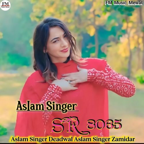 Aslam Singer SR 8065