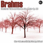Sonata for Violin and Piano No.2 in A Major, Op.100: I. Allegro amabile