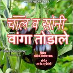Chal Va Soni Vanga Todale