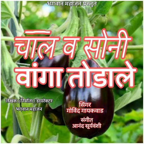 Chal Va Soni Vanga Todale