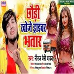 Chhori Khoje Driver Bhatar