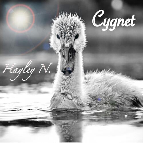 Cygnet cover art
