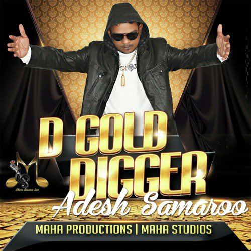 D Gold Digger_poster_image