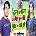 Dil Laag Gail Sakhi Dribarwe Se
