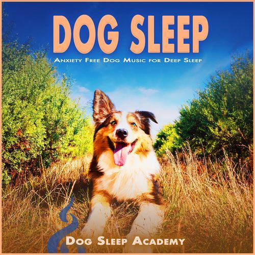 Twilight Dog Lullabies