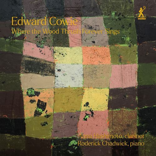 Where the Wood Thrush Forever Sings, Book 3: No. 3, Yellow Crowned Night Heron cover art