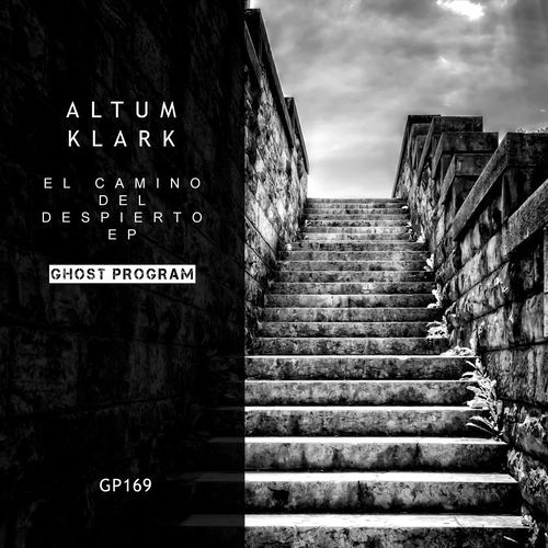El Camino Del Despierto cover art
