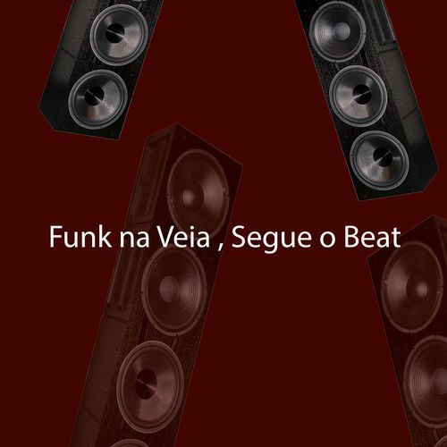 Funk na Veia , Segue o Beat (Remix)
