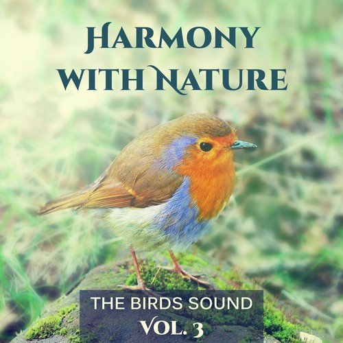 Harmony with Nature Vol. 3: The Birds Sound: Natural Remedy for Sleeping Troubles, Massage Relaxation & Meditation Music