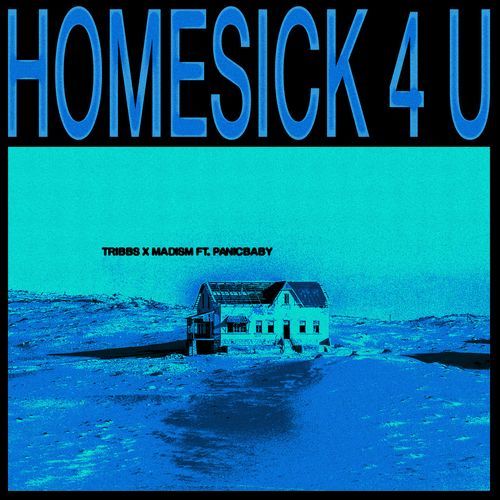 Homesick 4 U_poster_image