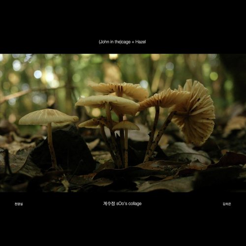 (John in The) Cage + Hazel [Live] [feat. Soojung Kae, Haeun Kim & Myoungsil Cheon] cover art