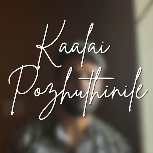 Kaalai Pozhuthinile