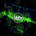In (Original Mix)