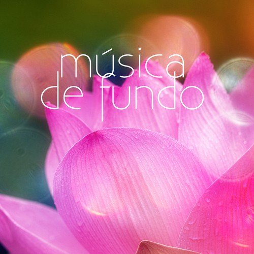 Música de Fundo cover art