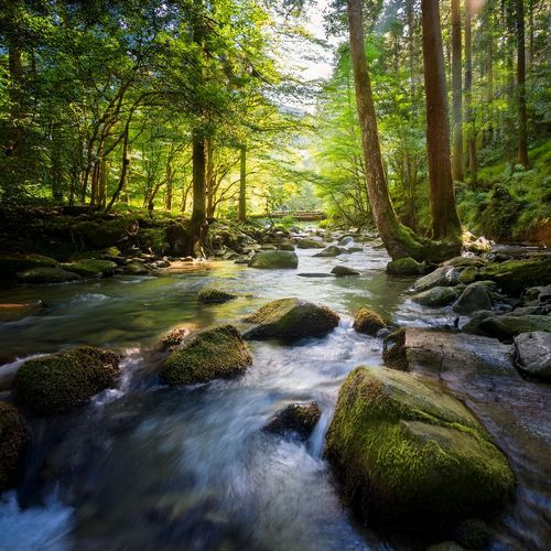 Music For Relaxing And Surrendering To The Flow Of Peace