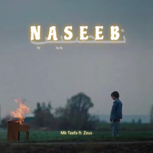 Naseeb